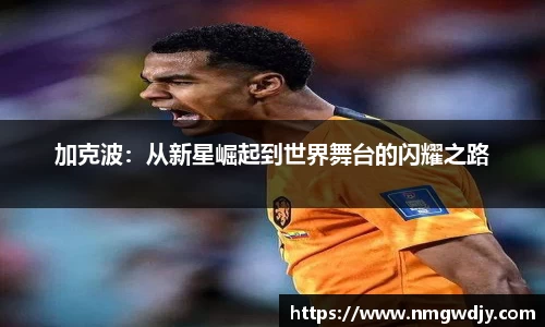 bwin必赢官网