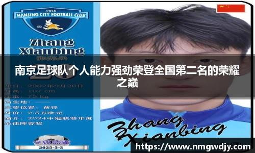 南京足球队个人能力强劲荣登全国第二名的荣耀之巅